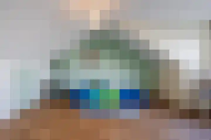 Dibbetzplantsoen 50 Hellevoetsluis thumbnail 26