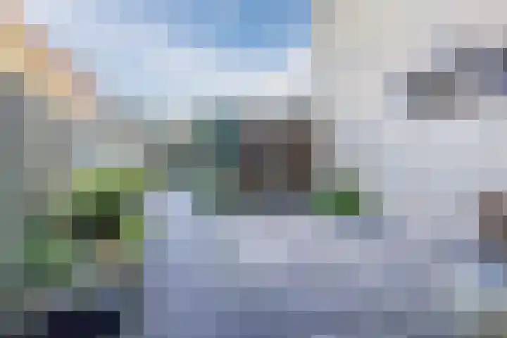 Dibbetzplantsoen 50 Hellevoetsluis thumbnail 28