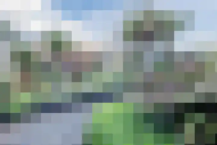 Dibbetzplantsoen 50 Hellevoetsluis thumbnail 29