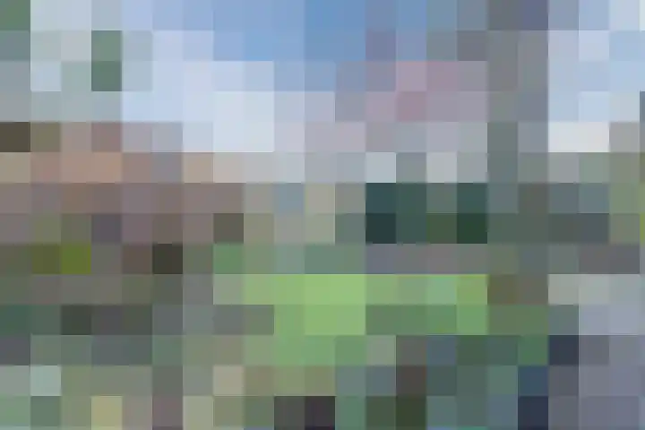 Dibbetzplantsoen 50 Hellevoetsluis thumbnail 30