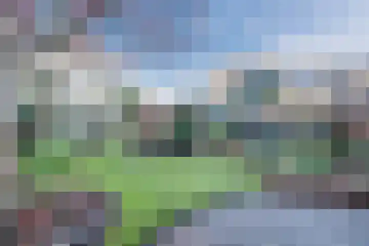 Dibbetzplantsoen 50 Hellevoetsluis thumbnail 32