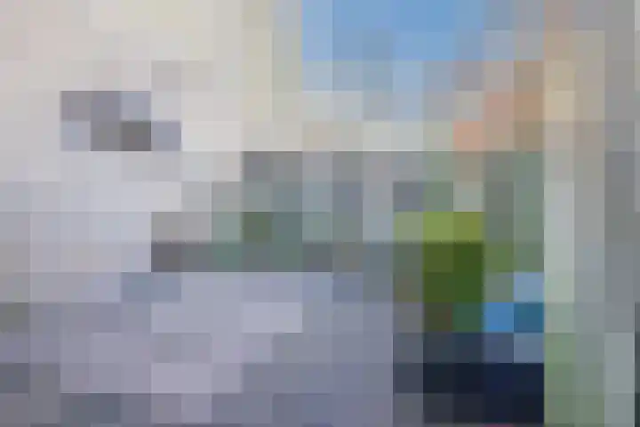 Dibbetzplantsoen 50 Hellevoetsluis thumbnail 34