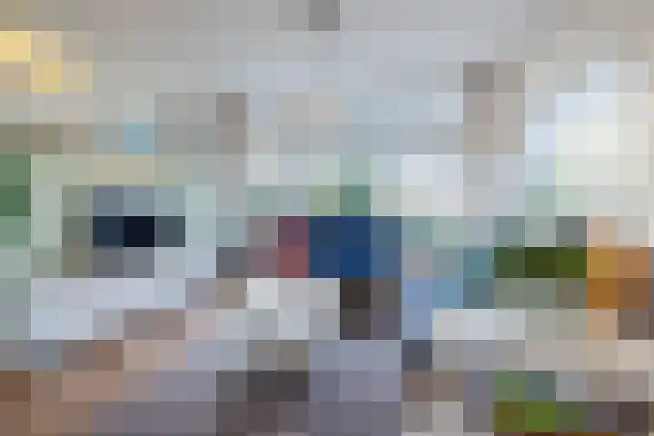 Dibbetzplantsoen 50 Hellevoetsluis thumbnail 4