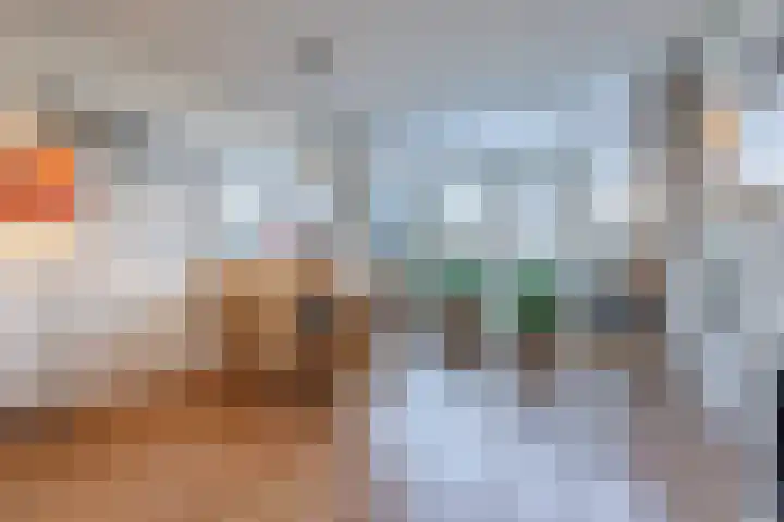 Dibbetzplantsoen 50 Hellevoetsluis thumbnail 7