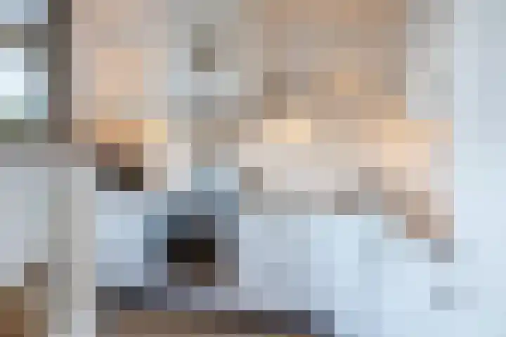 Dibbetzplantsoen 50 Hellevoetsluis thumbnail 9