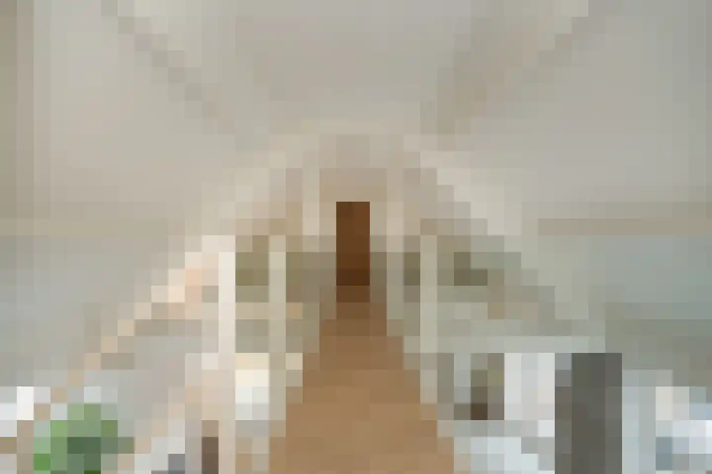 Dibbitsstraat 10 Zwaag thumbnail 15