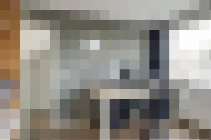 Dibbitsstraat 10 Zwaag thumbnail 18