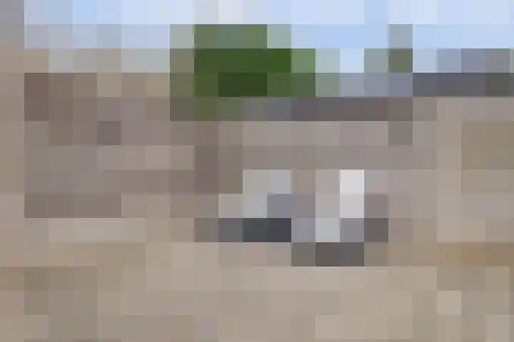 Dibbitsstraat 10 Zwaag thumbnail 32