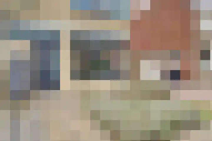 Dibbitsstraat 10 Zwaag thumbnail 5