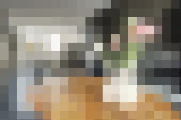 Dibbitsstraat 10 Zwaag thumbnail 7