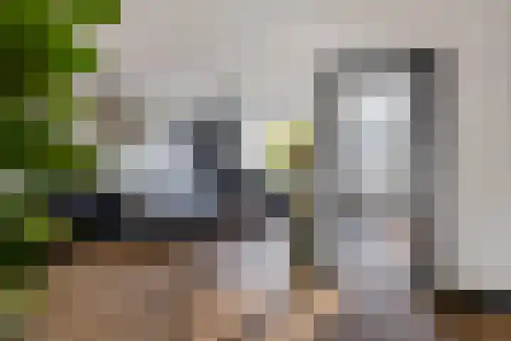 Dibbitsstraat 19 Zwaag thumbnail 10