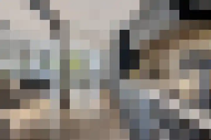 Dibbitsstraat 19 Zwaag thumbnail 15