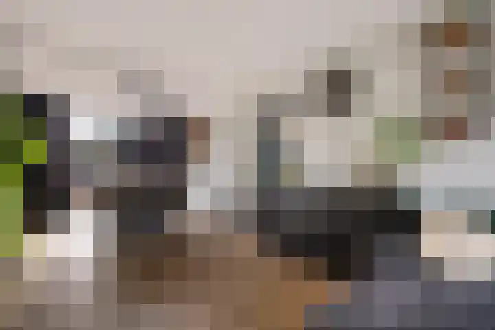 Dibbitsstraat 19 Zwaag thumbnail 17