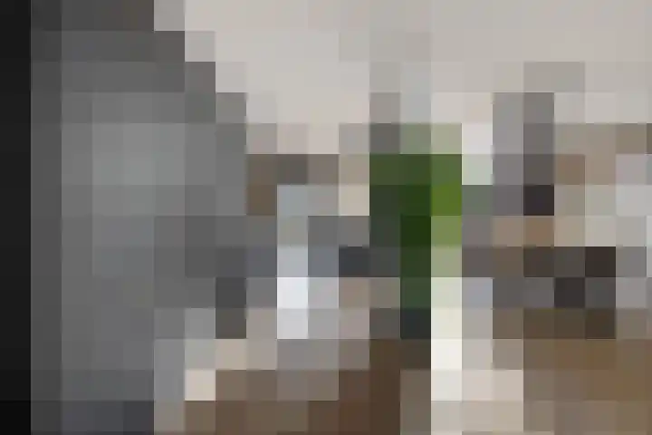 Dibbitsstraat 19 Zwaag thumbnail 20