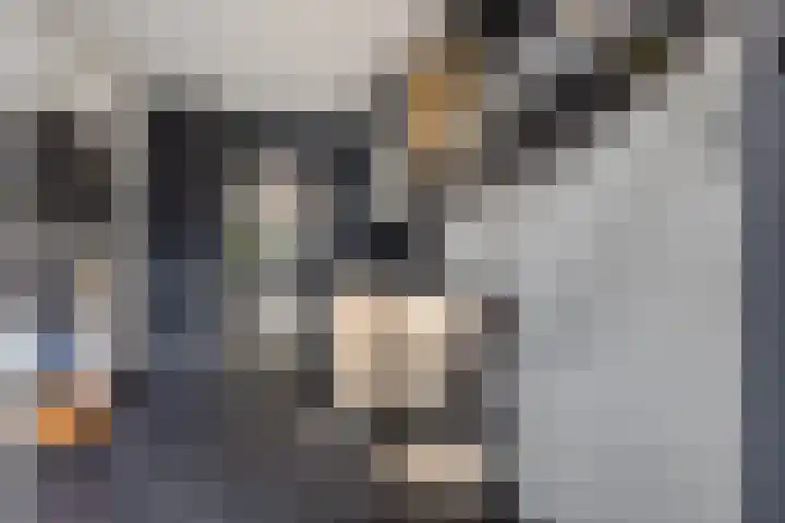 Dibbitsstraat 19 Zwaag thumbnail 21