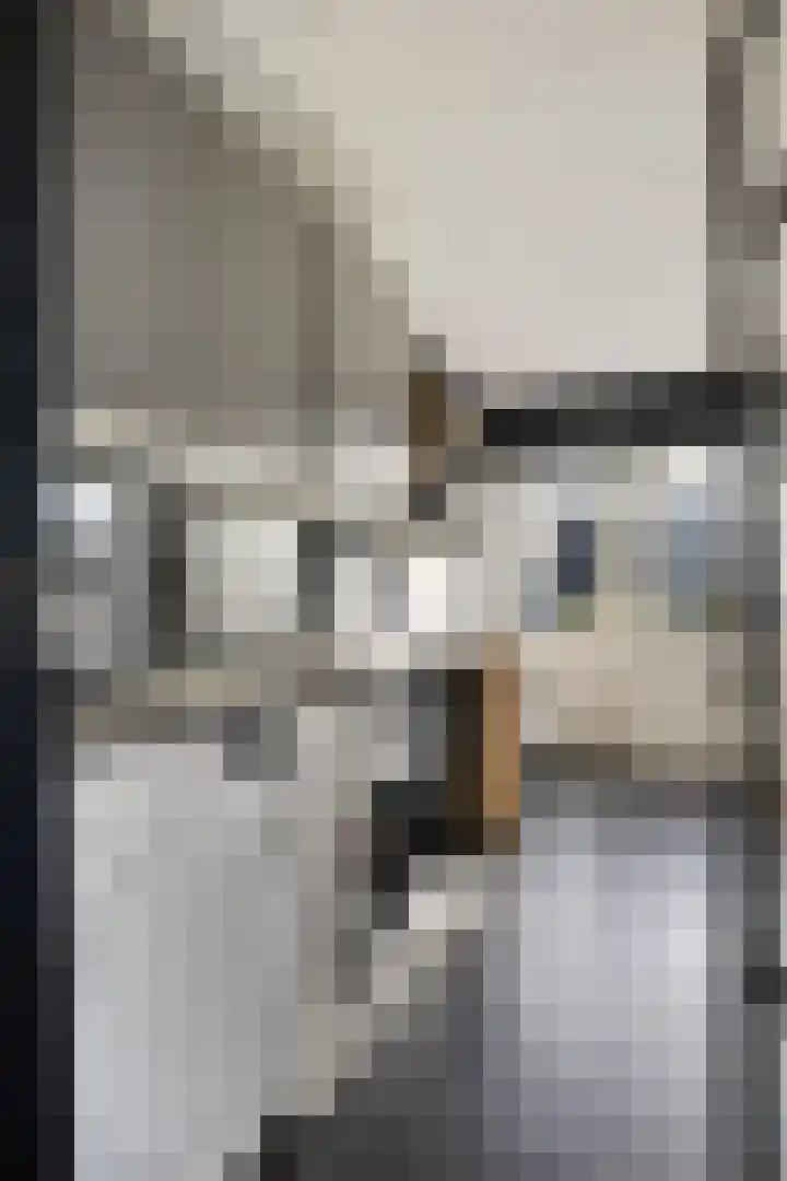 Dibbitsstraat 19 Zwaag thumbnail 22
