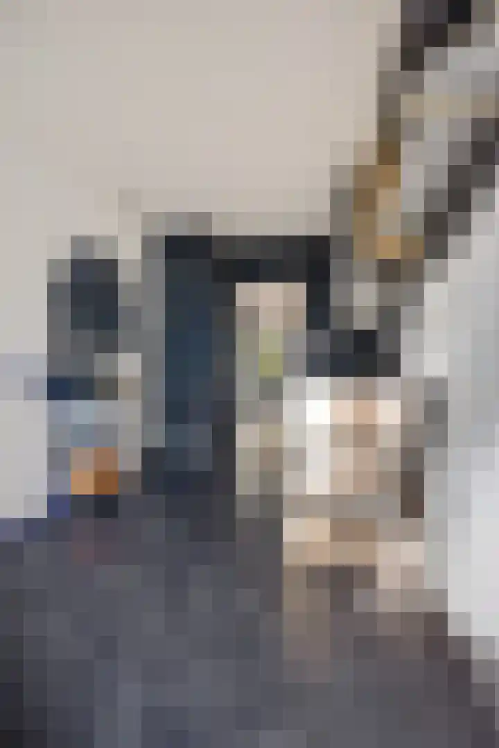 Dibbitsstraat 19 Zwaag thumbnail 23
