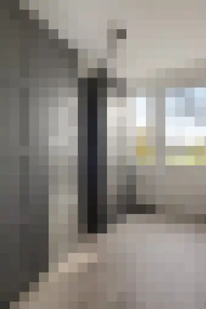 Dibbitsstraat 19 Zwaag thumbnail 27