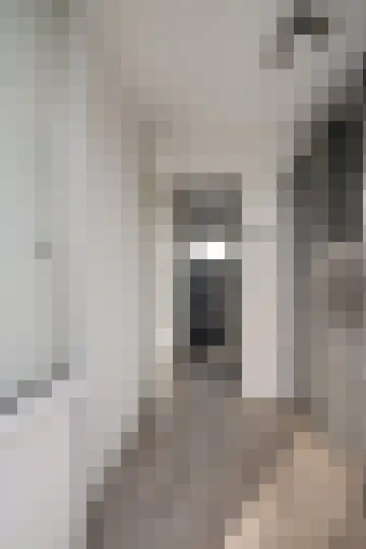 Dibbitsstraat 19 Zwaag thumbnail 28