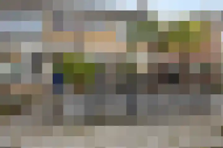 Dibbitsstraat 19 Zwaag thumbnail 4