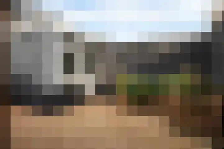 Dibbitsstraat 19 Zwaag thumbnail 40