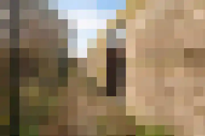 Dibbitsstraat 19 Zwaag thumbnail 42