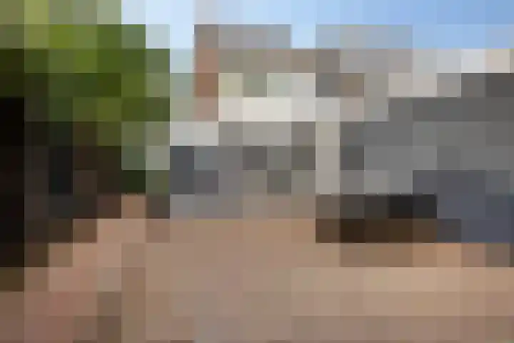Dibbitsstraat 19 Zwaag thumbnail 43