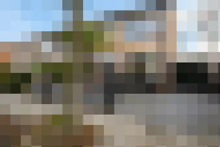 Dibbitsstraat 19 Zwaag thumbnail 5