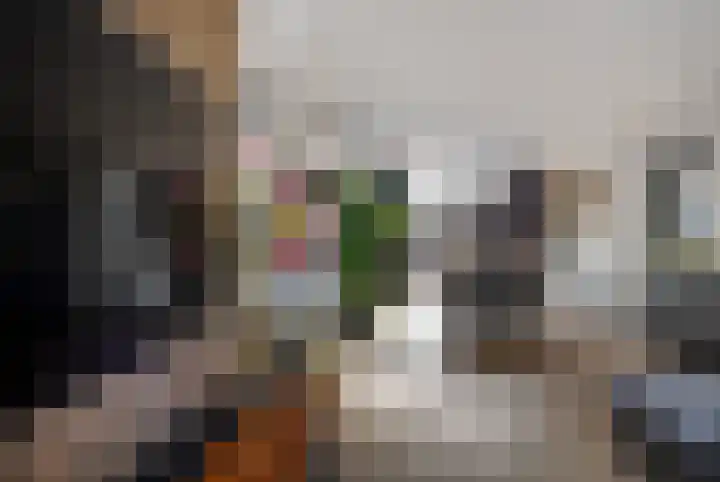 Dibbitsstraat 19 Zwaag thumbnail 7