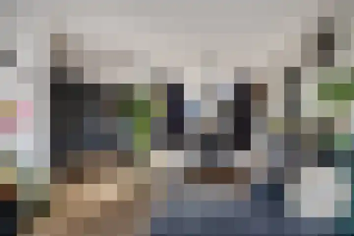 Dibbitsstraat 19 Zwaag thumbnail 8