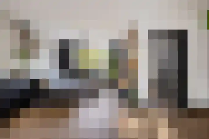 Dibbitsstraat 19 Zwaag thumbnail 9