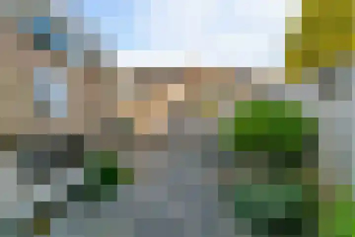 Dibbitsstraat 6 Zwaag thumbnail 22