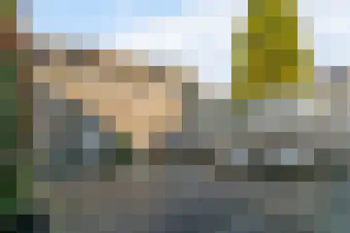 Dibbitsstraat 6 Zwaag thumbnail 23