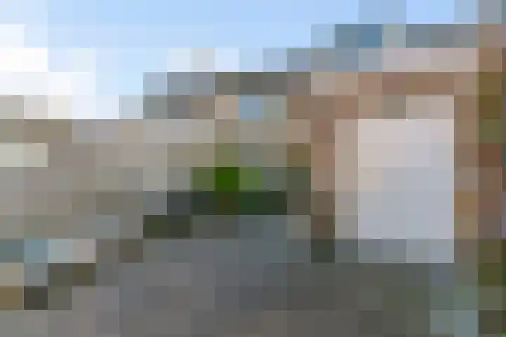 Dibbitsstraat 6 Zwaag thumbnail 24