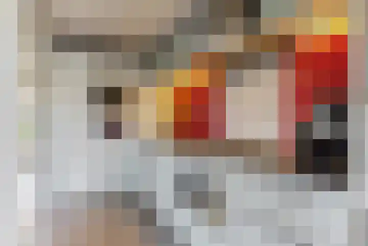 Dibbitsstraat 6 Zwaag thumbnail 4