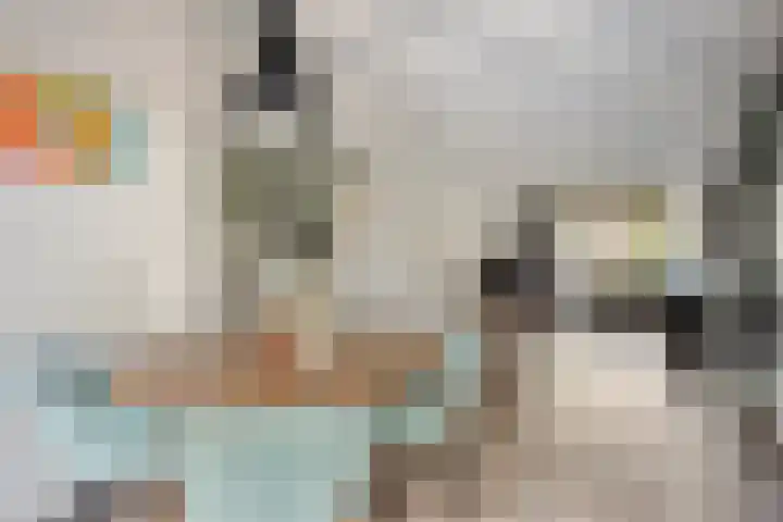 Dibbitsstraat 9 Zwaag thumbnail 10