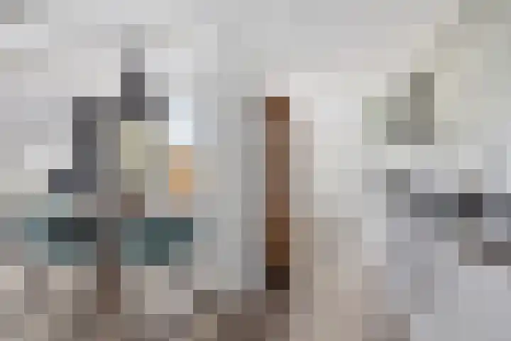 Dibbitsstraat 9 Zwaag thumbnail 13