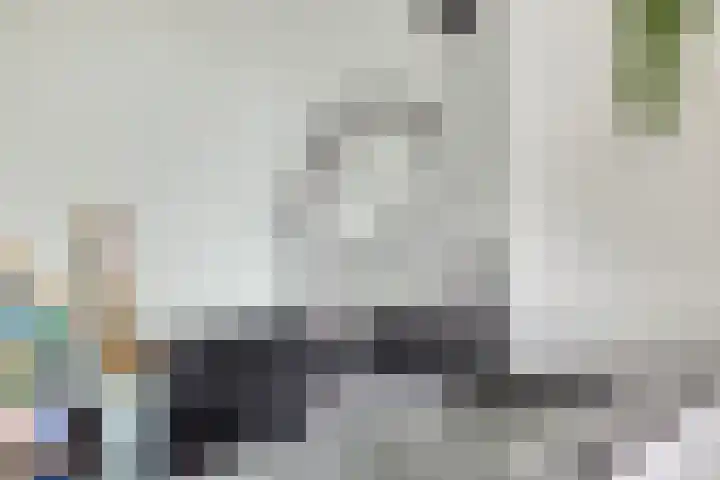 Dibbitsstraat 9 Zwaag thumbnail 17