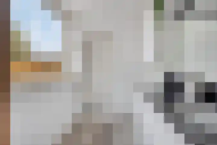 Dibbitsstraat 9 Zwaag thumbnail 19