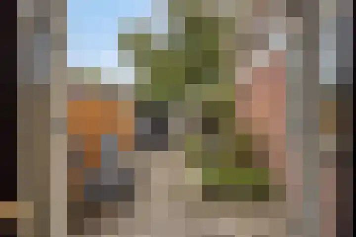 Dibbitsstraat 9 Zwaag thumbnail 20