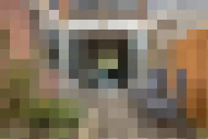 Dibbitsstraat 9 Zwaag thumbnail 21