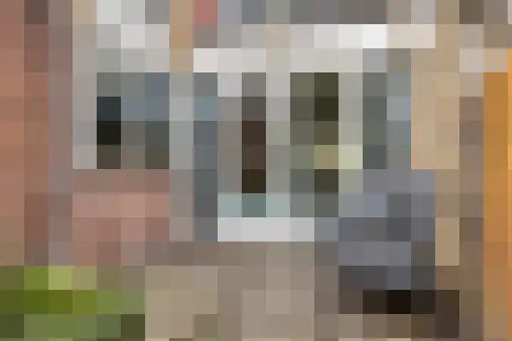 Dibbitsstraat 9 Zwaag thumbnail 22