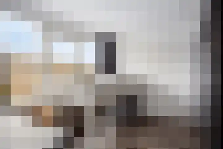 Dibbitsstraat 9 Zwaag thumbnail 31