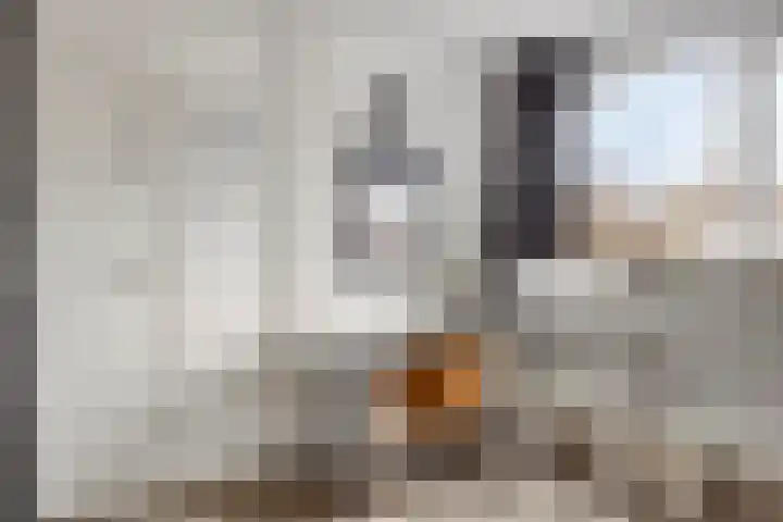 Dibbitsstraat 9 Zwaag thumbnail 32