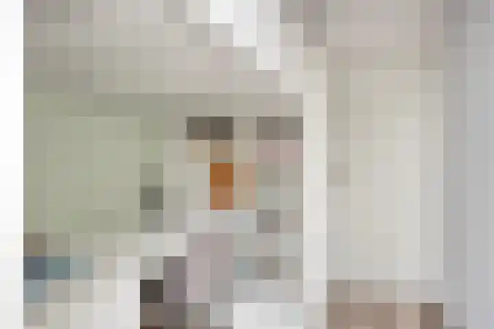 Dibbitsstraat 9 Zwaag thumbnail 34