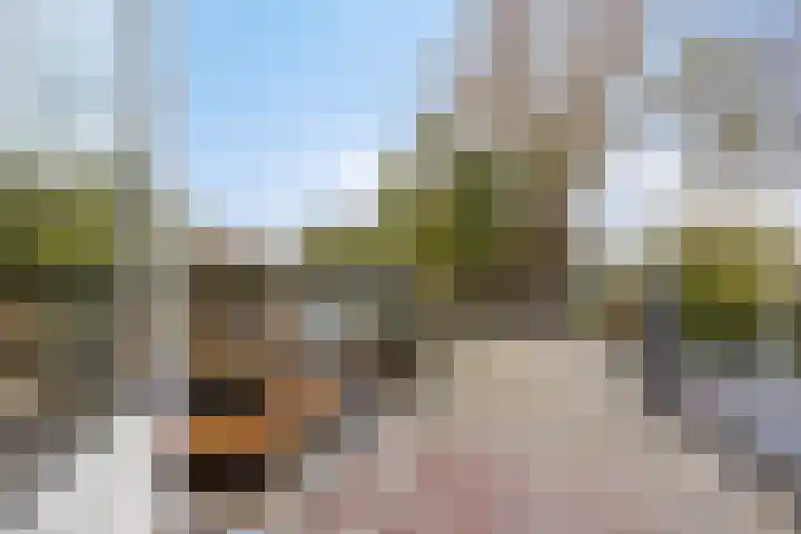 Dibbitsstraat 9 Zwaag thumbnail 35