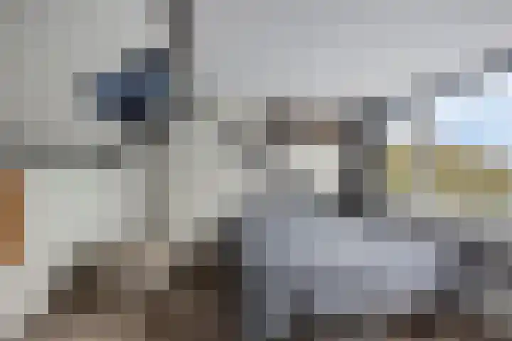 Dibbitsstraat 9 Zwaag thumbnail 39