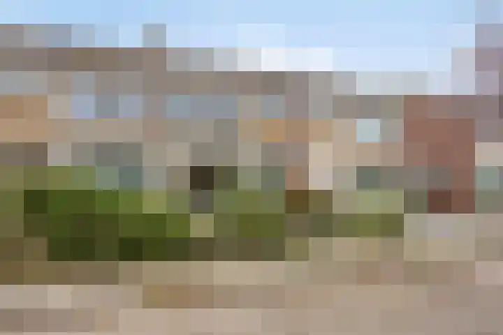 Dibbitsstraat 9 Zwaag thumbnail 41