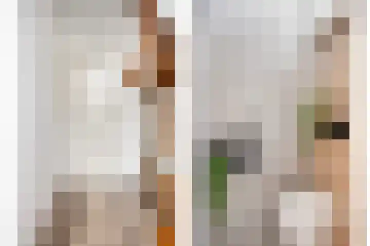 Dibbitsstraat 9 Zwaag thumbnail 5