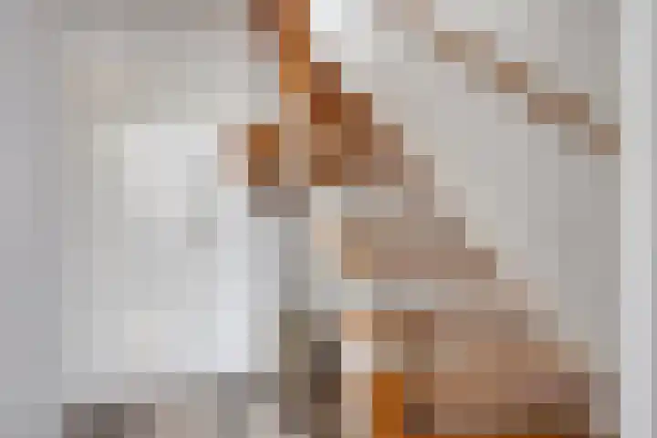 Dibbitsstraat 9 Zwaag thumbnail 6